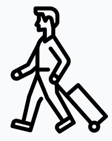 traveler.JPG